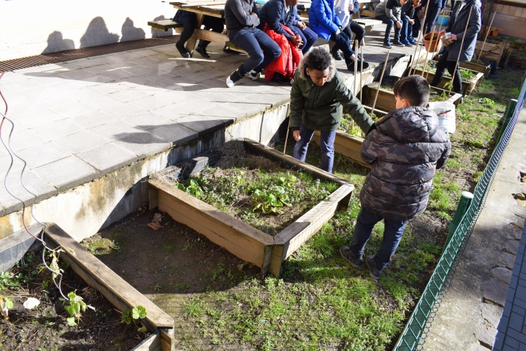 Le potager