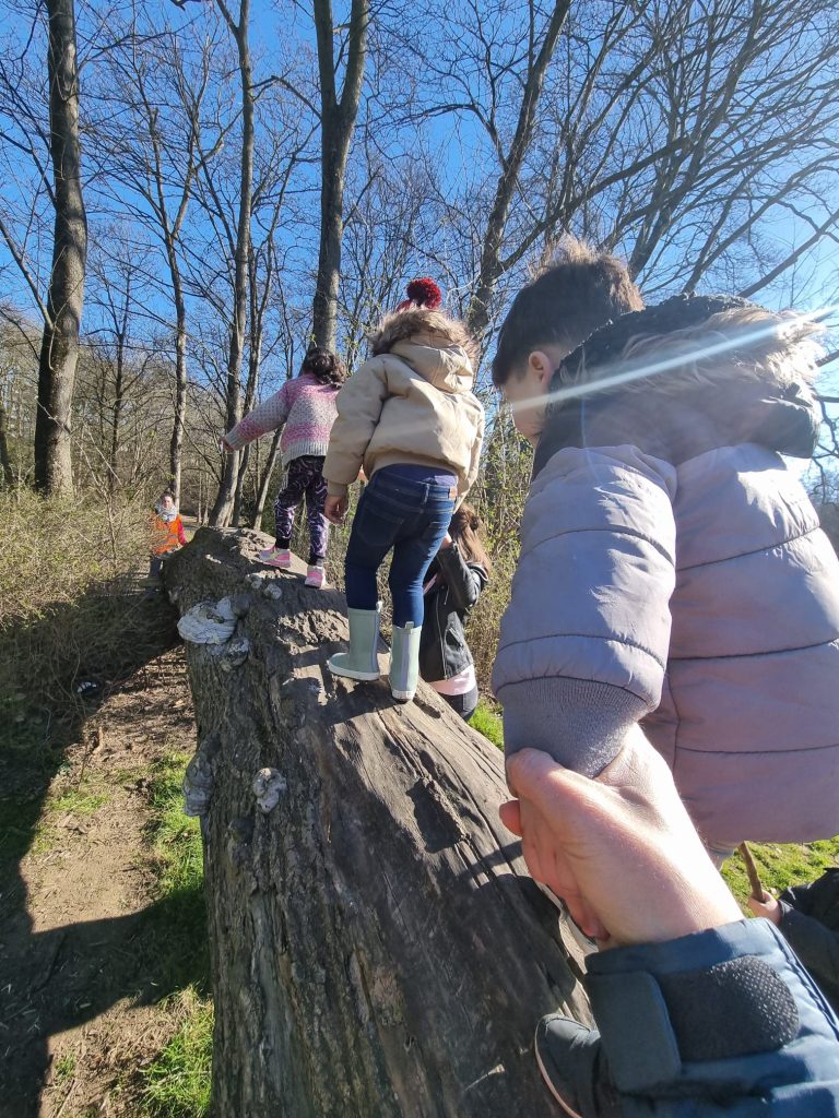 Les 2ème et 3eme Maternelles à la découverte du printemps