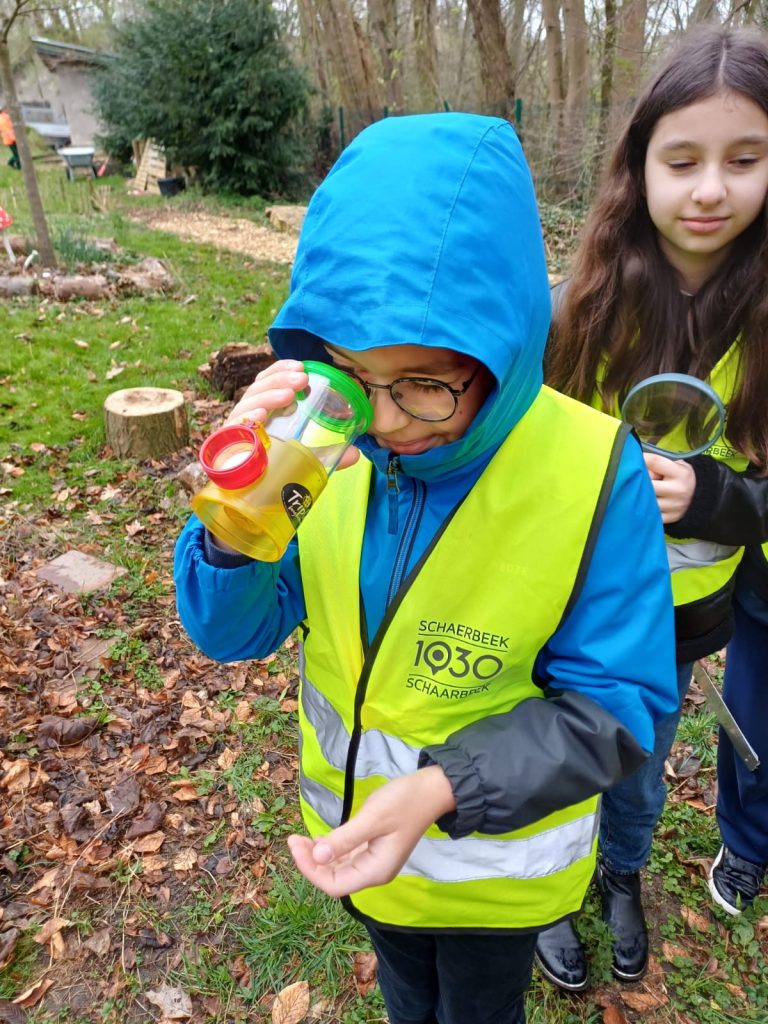 À la découverte de la biodiversité : une sortie enrichissante pour les P4