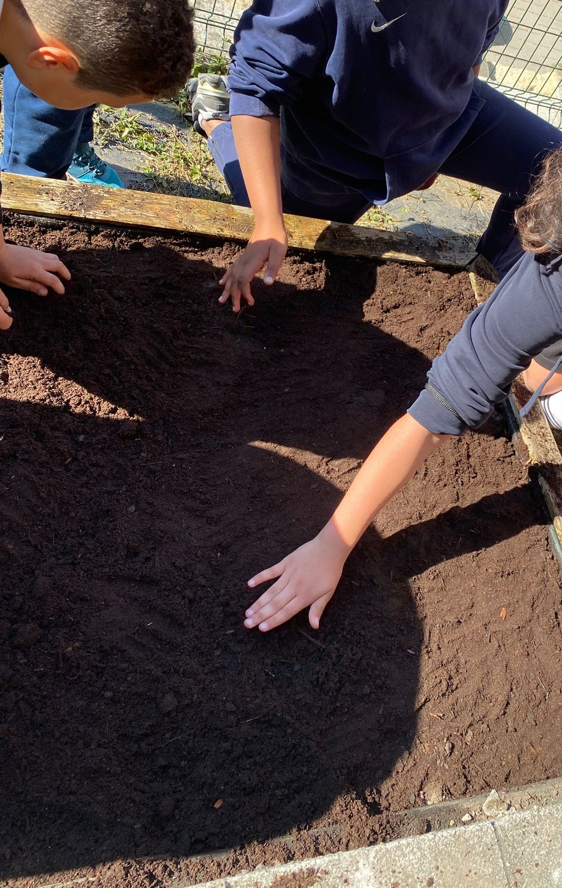 WhatsApp Image 2025-05-20 at 10.15.14